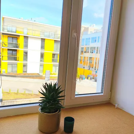 Together, Two Studios, Super Location, Free Parking Appartement